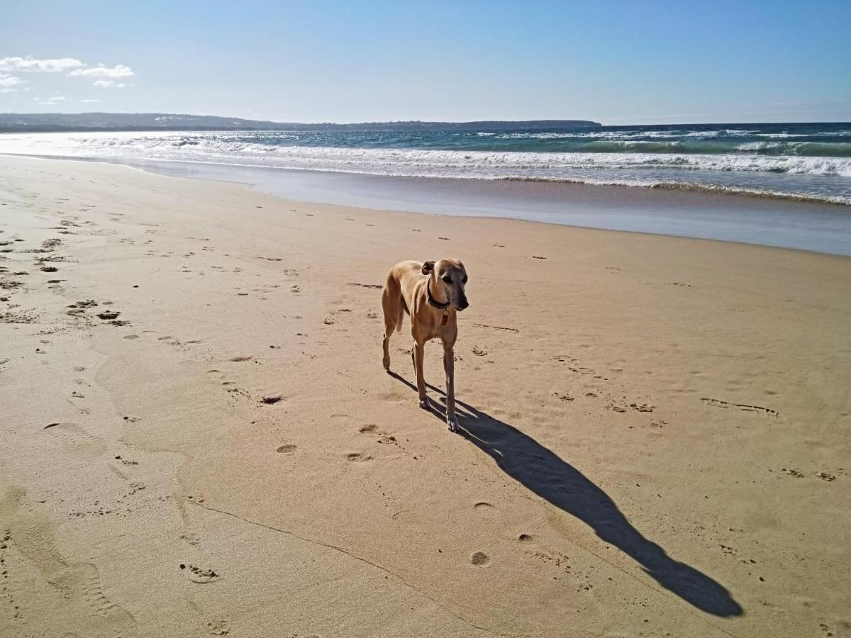 Beachcomber - Pet Friendly Merimbula Bagian luar foto