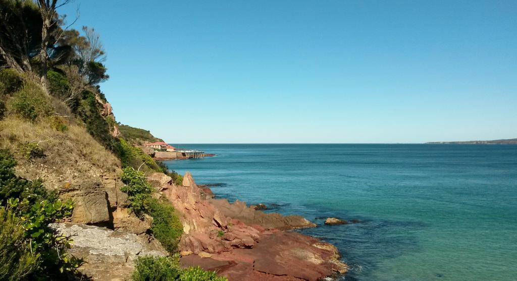 Beachcomber - Pet Friendly Merimbula Bagian luar foto